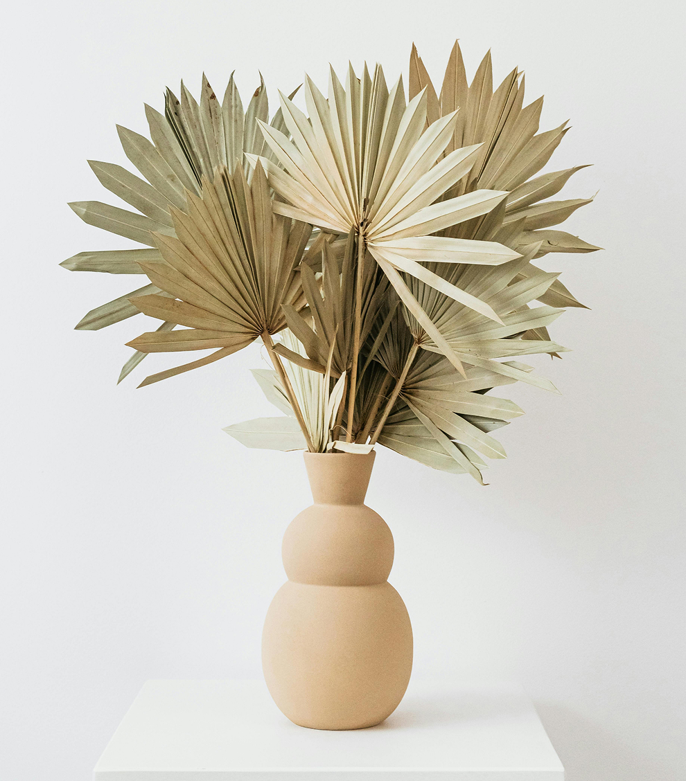 Product-image-#17